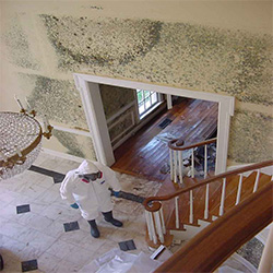 Mold Remediation