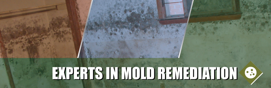 webHeaders2_mold