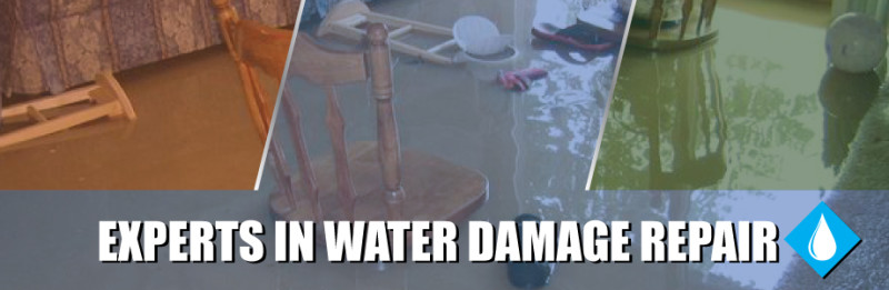 Champion Restoration Experts - Mold Remediation | Water Damage | Fire ...
